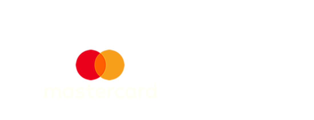 Card mostrando as bandeiras de cartões que são aceitas: VISA e MasterCard